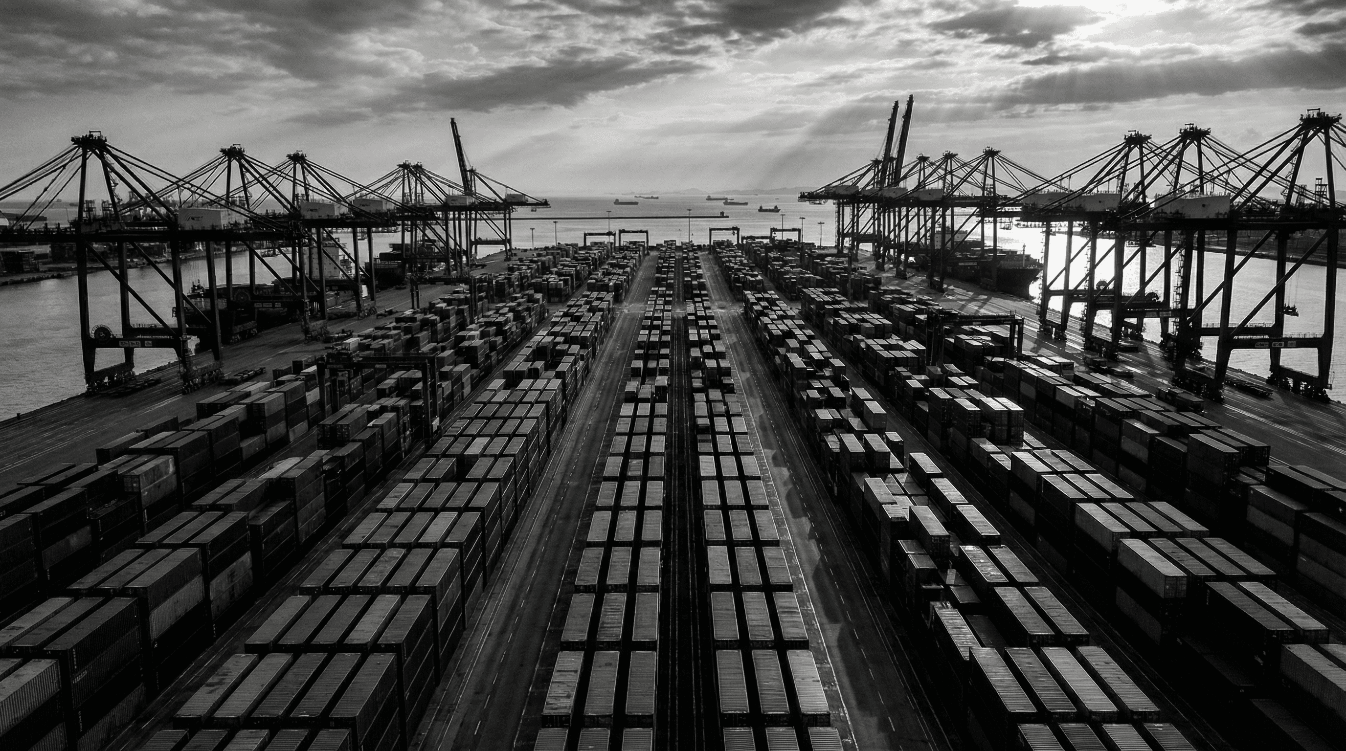 Contenedores de carga en terminal portuaria — Operaciones logísticas EDRO Solutions